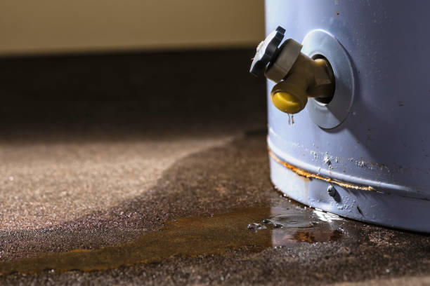 Best Mold removal after water damage  in Kissimmee, FL