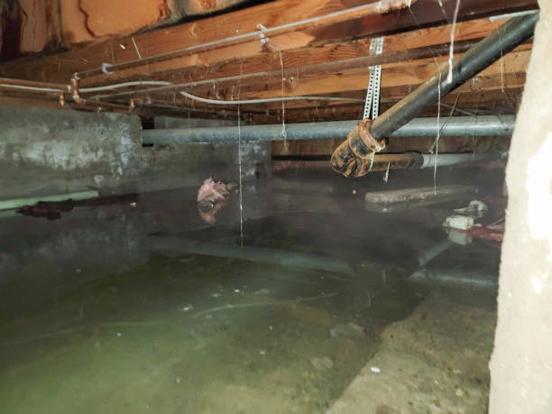 Best Commercial water damage restoration  in Kissimmee, FL
