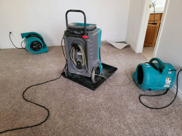 Best Sewage cleanup and water damage restoration  in Kissimmee, FL