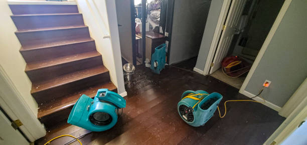 Best Fire Damage Restoration  in Kissimmee, FL
