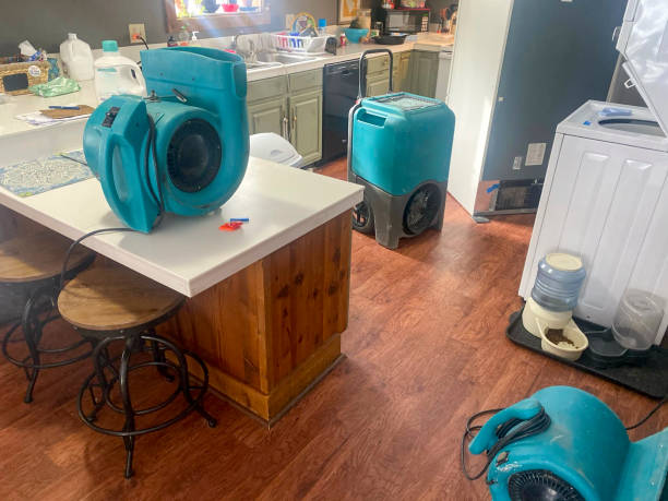 Best Water damage cleanup near me  in Kissimmee, FL