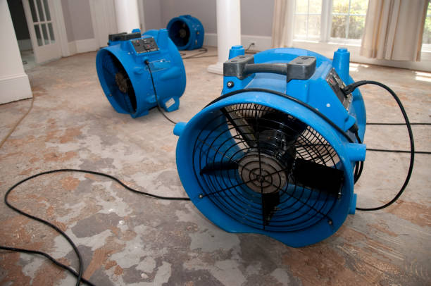  Kissimmee, FL Water damage restoration Pros