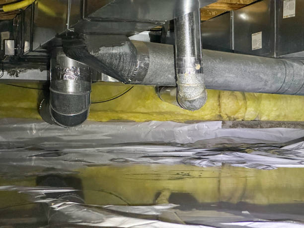 Best Basement water damage restoration  in Kissimmee, FL