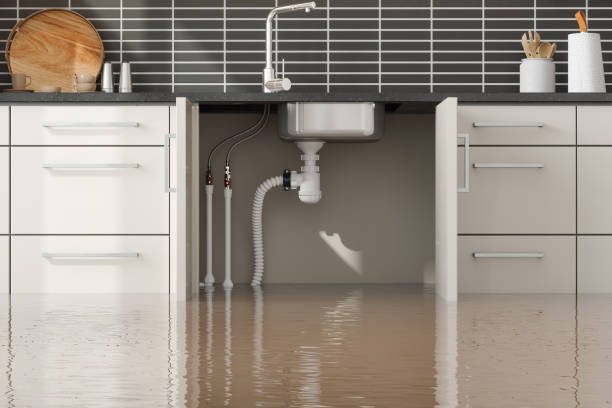 Best Flood restoration services  in Kissimmee, FL