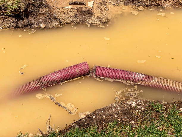 Best Professional water damage repair  in Kissimmee, FL